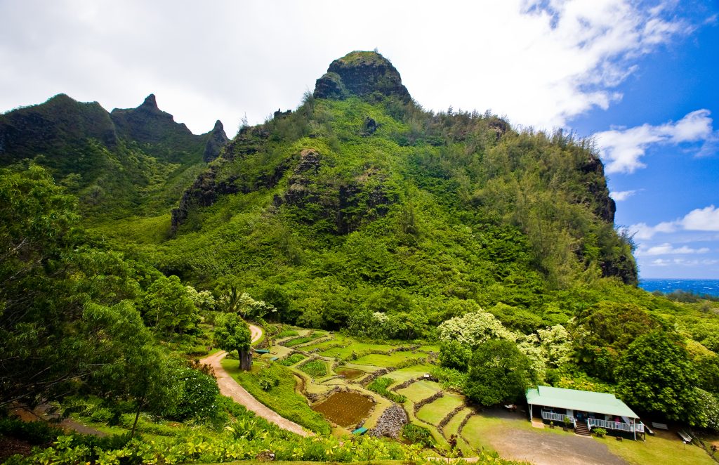 Limahuli gardens on Kauai