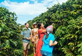 Image of community members outside in between two rows of tall greenery.