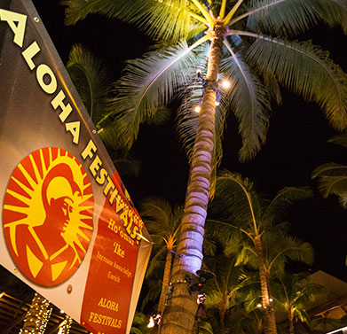 Image of an Aloha Festival banner attached to a tall coconut tree at night. 